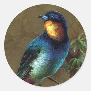 Sticker Rond Joyeux Nouvel An chez les oiseaux tropicaux
