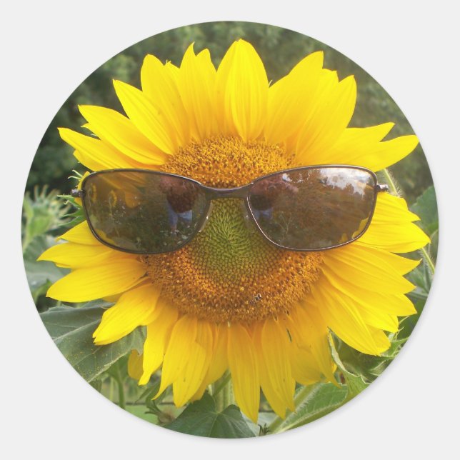 Sticker Rond Joyeux tournesol avec collant de lunettes de solei (Devant)