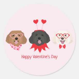Sticker Rond Joyeux Valentines Day Chiens de Maltipoo