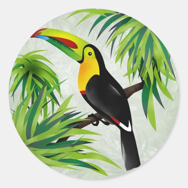 Sticker Rond Jungle Toucan (Devant)