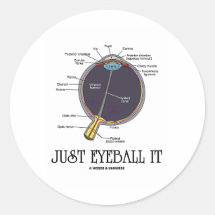 Sticker Rond Juste Eyeball It (Eye Anatomy Approximation Dit)