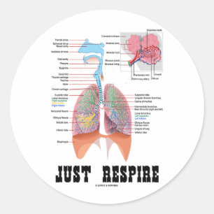 Sticker Rond Juste Respire