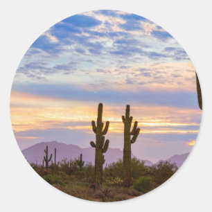 Sticker Rond Juste un autre soleil coloré du désert de Sonoran
