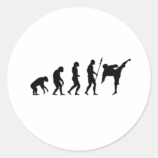 Sticker Rond karate kick evolution (Devant)