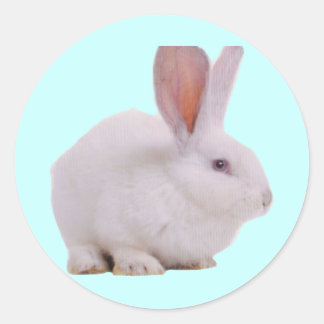 Sticker Rond Kawaii Cute Bunny