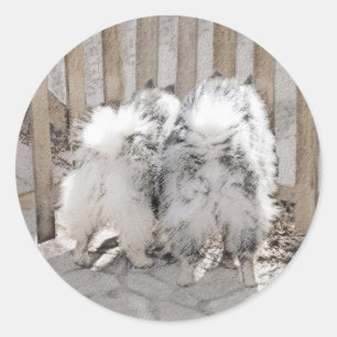 Sticker Rond Keeshonds at the Gate Painting - Original Dog Art