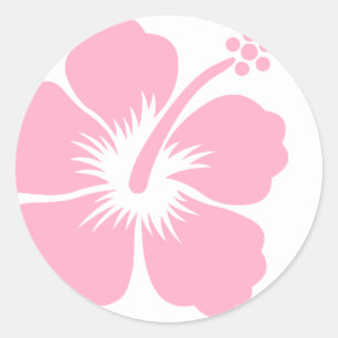 Sticker Rond Ketmie rose F