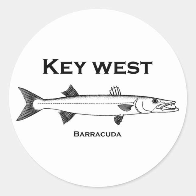 Sticker Rond Key West Barracuda (Devant)