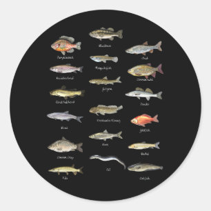 Sticker Rond Kids Fish Species Biology Types Of Freshwater Fish