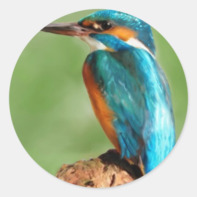 Sticker Rond Kingfisher (Devant)