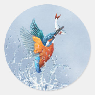 Sticker Rond Kingfisher qui sort de l'eau