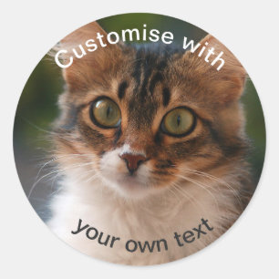 Sticker Rond Kitts à bouchon avec yeux verts personnalisés