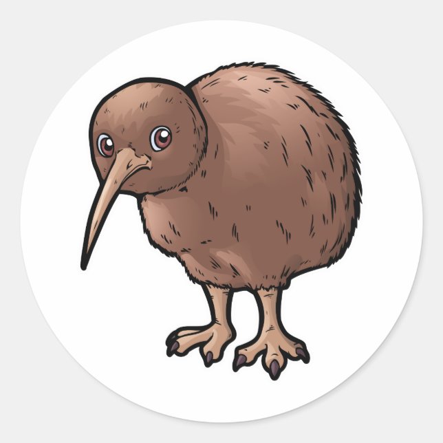 Sticker Rond Kiwi Brown du sud (Devant)