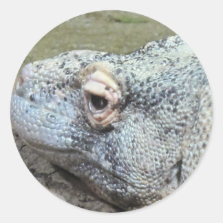 Sticker Rond Komodo Dragon