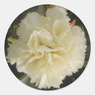 Sticker Rond La beauté de la carnation blanche