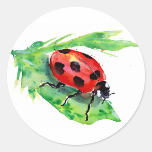 Sticker Rond La Dame Bug sur une aquarelle à feuilles vertes