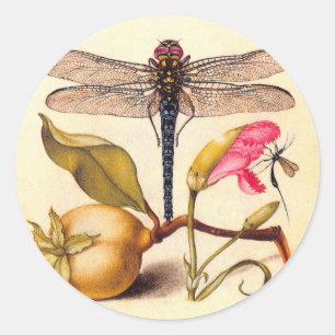 Sticker Rond La faune de la libellule