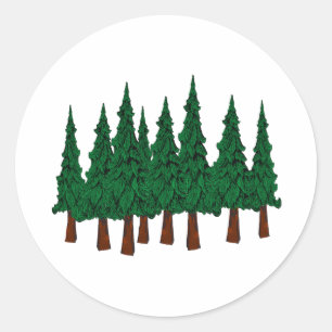 Sticker Rond La forêt À feuillage persistant