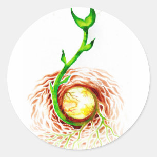 Sticker Rond La graine de la vie poster toile imprimé carte pos