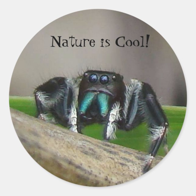Sticker Rond La nature est Cool ! (Devant)