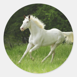 Sticker Rond La peinture dans le mouvement