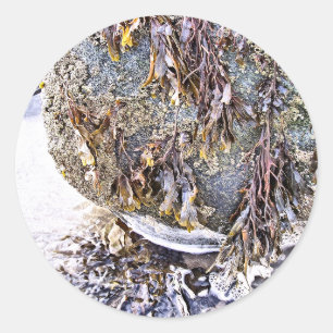 STICKER ROND LA PLAGE