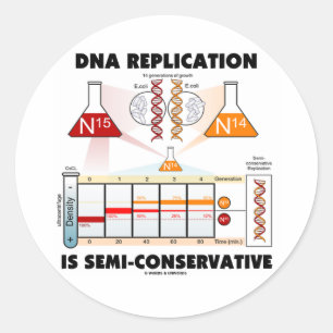 Sticker Rond La reproduction d'ADN est Semi-Conservatrice