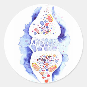 Sticker Rond La synapse et l'impulsion nerveuse impression de t