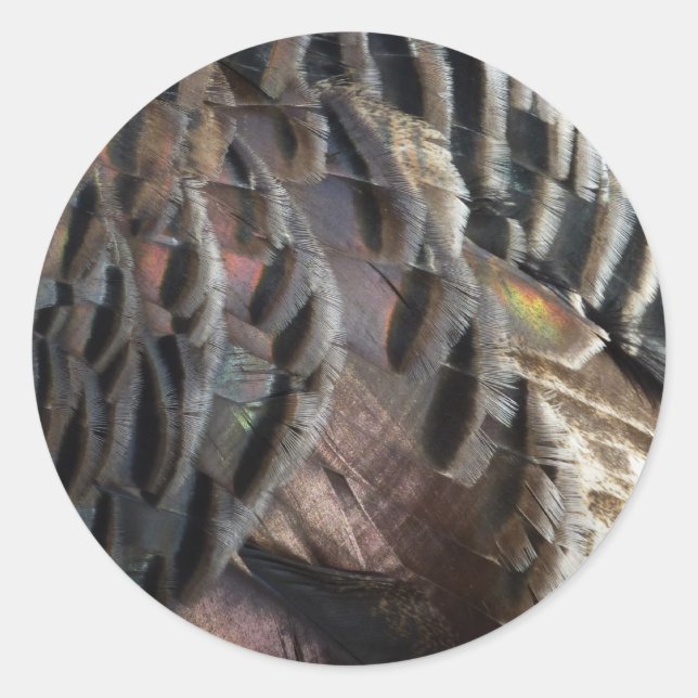 Sticker Rond La Turquie sauvage Plumes I Abstrait Nature Design (Devant)