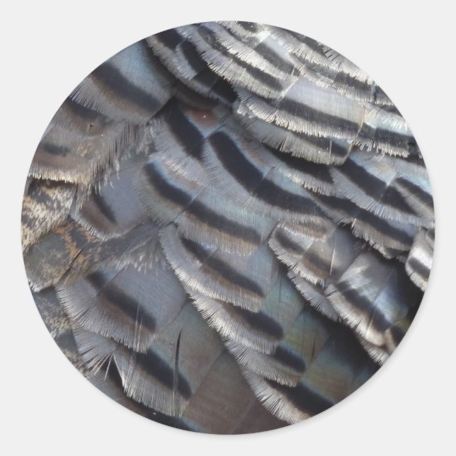 Sticker Rond La Turquie sauvage plumes II Design Abstrait de la (Devant)