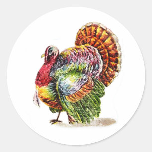 Sticker Rond La Turquie vintage