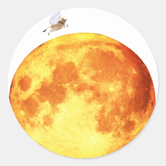 Sticker Rond La Vache S'Est Jumelée Au-Dessus Des Phoques De L' (Devant)