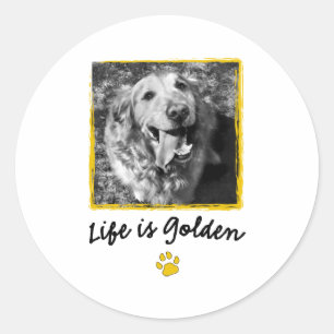 Sticker Rond La Vie Est Dorée (Retriever)