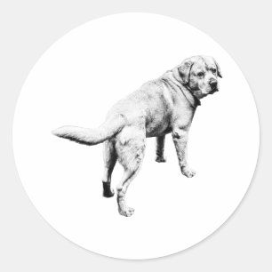 Sticker Rond Laboratoire Sur Épaule, Queue En Mouvement