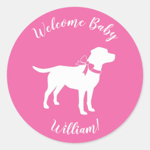 Sticker Rond Labrador Chien Baby shower Rose Girl Lab