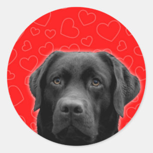 Sticker Rond Labrador noir avec Coeurs rouges