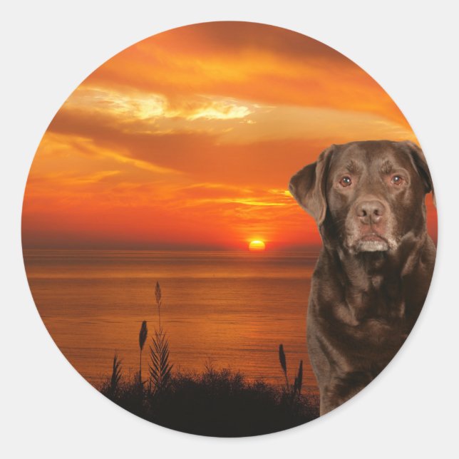 Sticker Rond Labrador Retriever Chien assis à côté du coucher d (Devant)