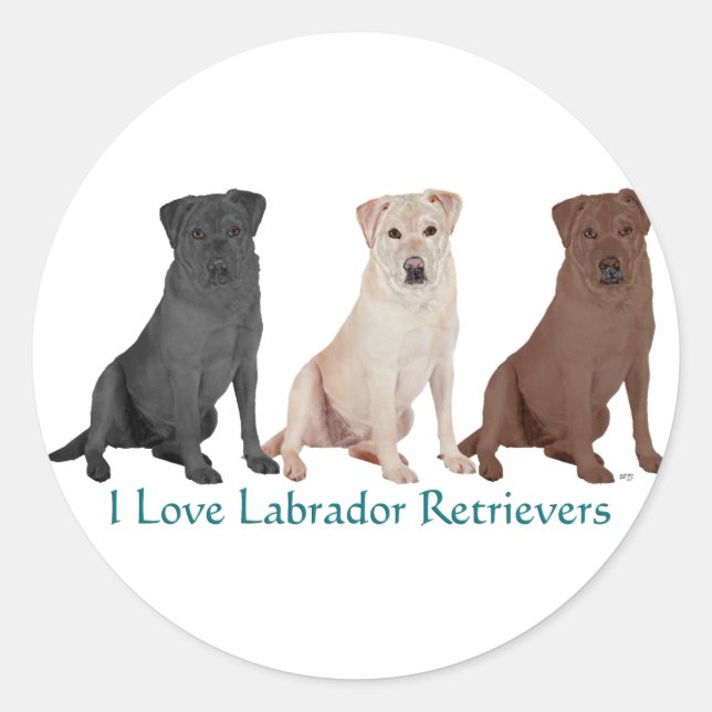 Sticker Rond Labrador Retrievers - 3 couleurs à aimer (Devant)
