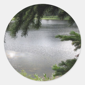 Sticker Rond Lac Silver encadré par Boughs À feuillage persista