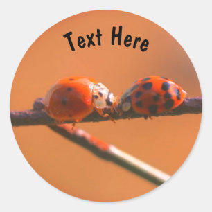 Sticker Rond Ladybug Friends Nature Personnalisé