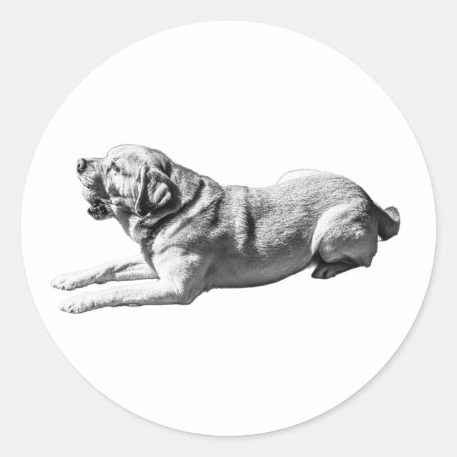 Sticker Rond Laid Back Lab - Art en Silhouette (Devant)