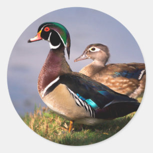 Sticker Rond Lakeside