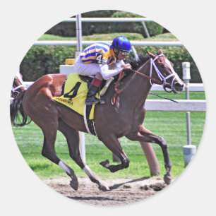 Sticker Rond L'alerte de mode gagne le Schuylerville