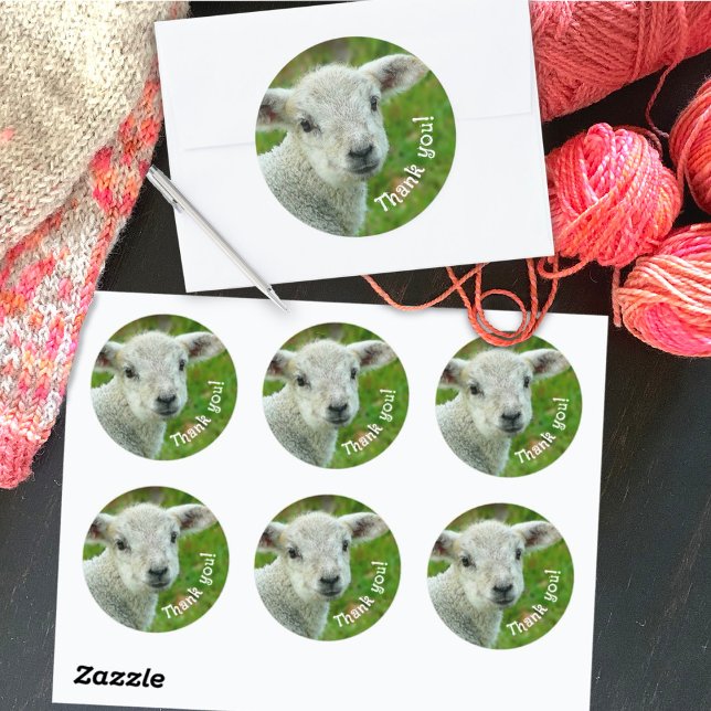 Sticker Rond Lamb Face Merci laine affaires (Créateur téléchargé)