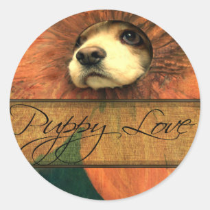 Sticker Rond L'amour des chiots