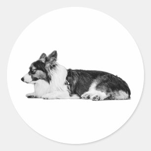 Sticker Rond Lamplight Guardian