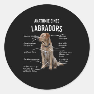 Sticker Rond L'Anatomie D'Un Chien De Récupérateur Du Labrado