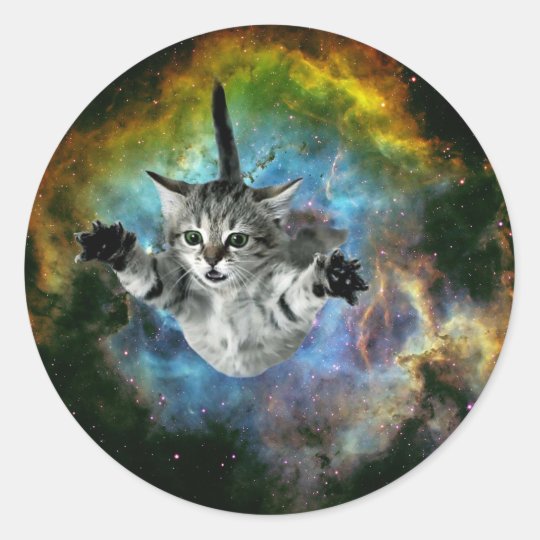 Sticker Rond Lancement De Chaton D Univers De Chat De Galaxie Zazzle Ca