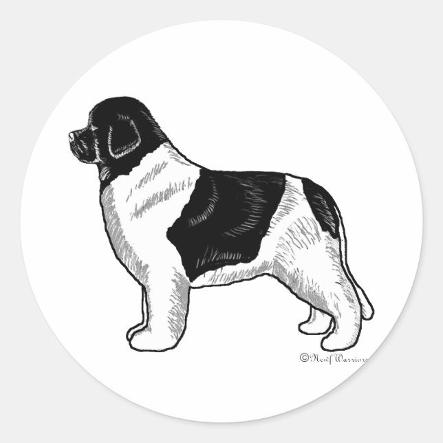 Sticker Rond Landseer Terre-Neuve (Devant)