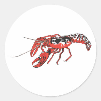 Sticker Rond langouste